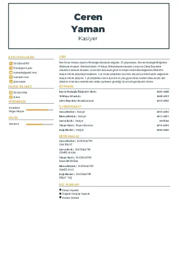 Kasiyer cv indir
